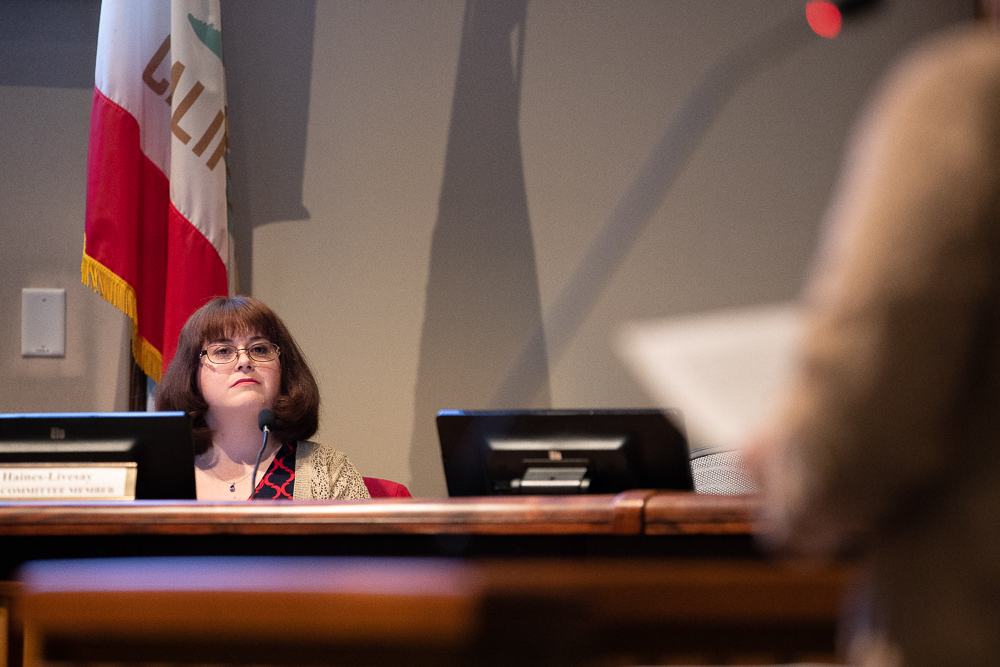 Mountain View City Council picks new member for Rental Housing ...