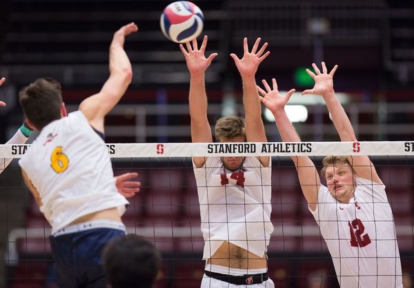Toby Stopforth Stanford reverses course, saves 11 sports that were set for chopping ...