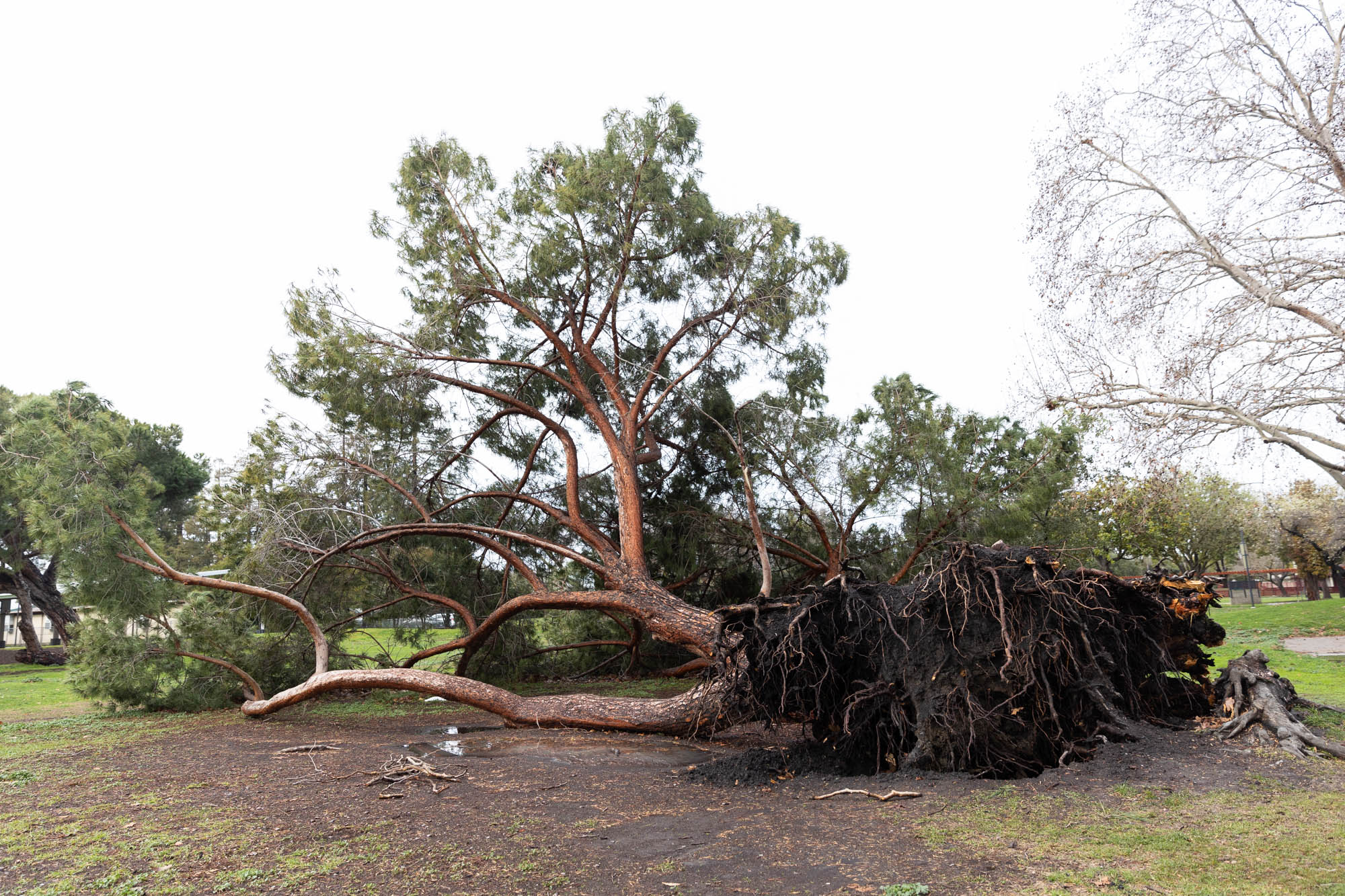 Weathering the storm: Experts share tips on how to protect vulnerable ...