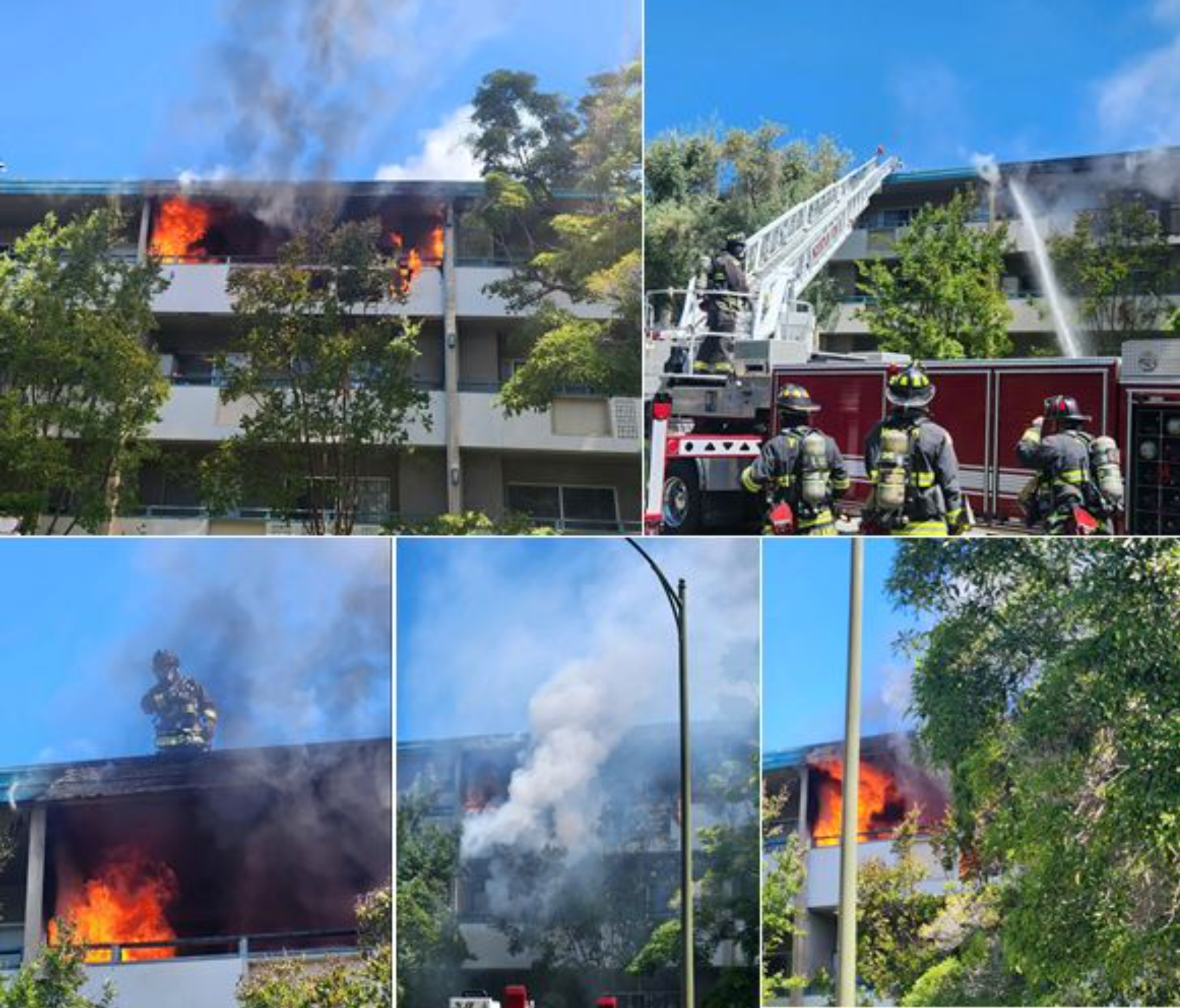 Mountain View apartment fire causes $1 million in damages - Vimarsana News