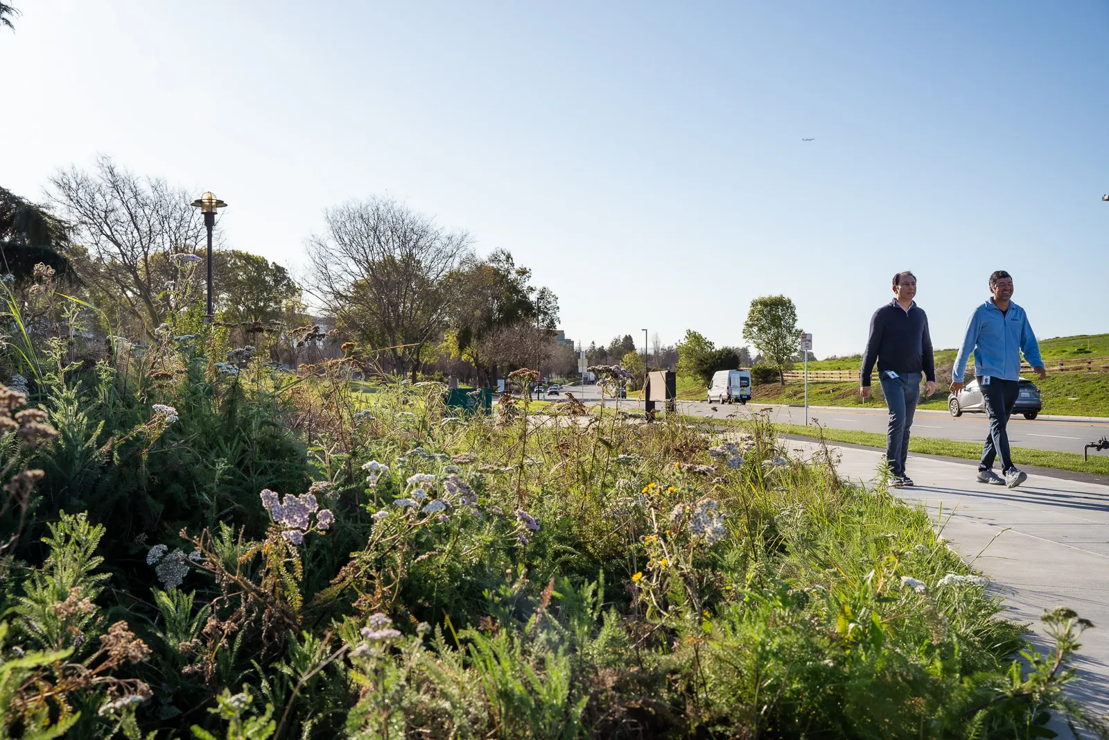 Community Briefs: City earns environmental recognition, El Camino Health picks CFO, eviction workshop scheduled