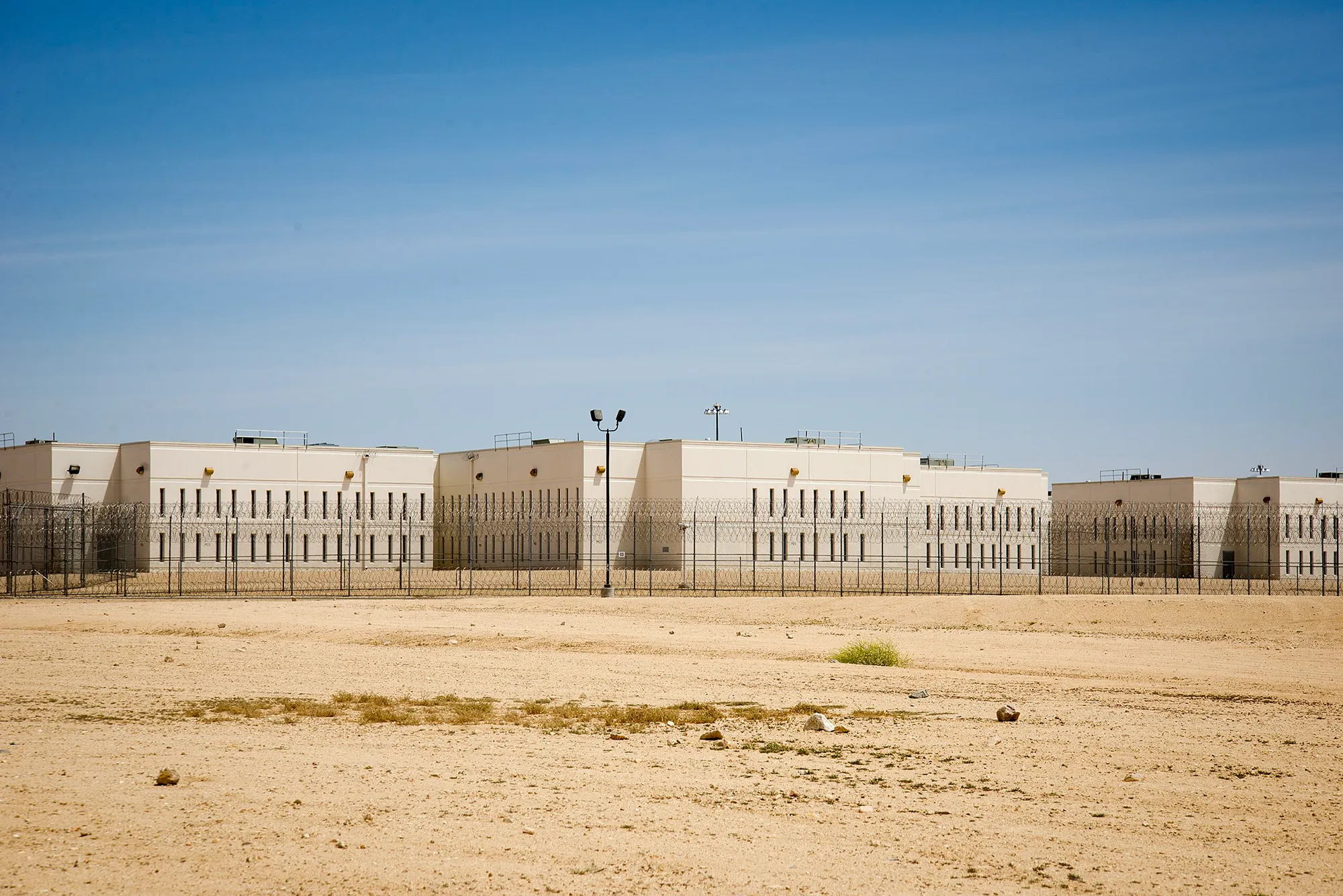 Image for Six people have died in California ICE detention centers as Trump deportations soared