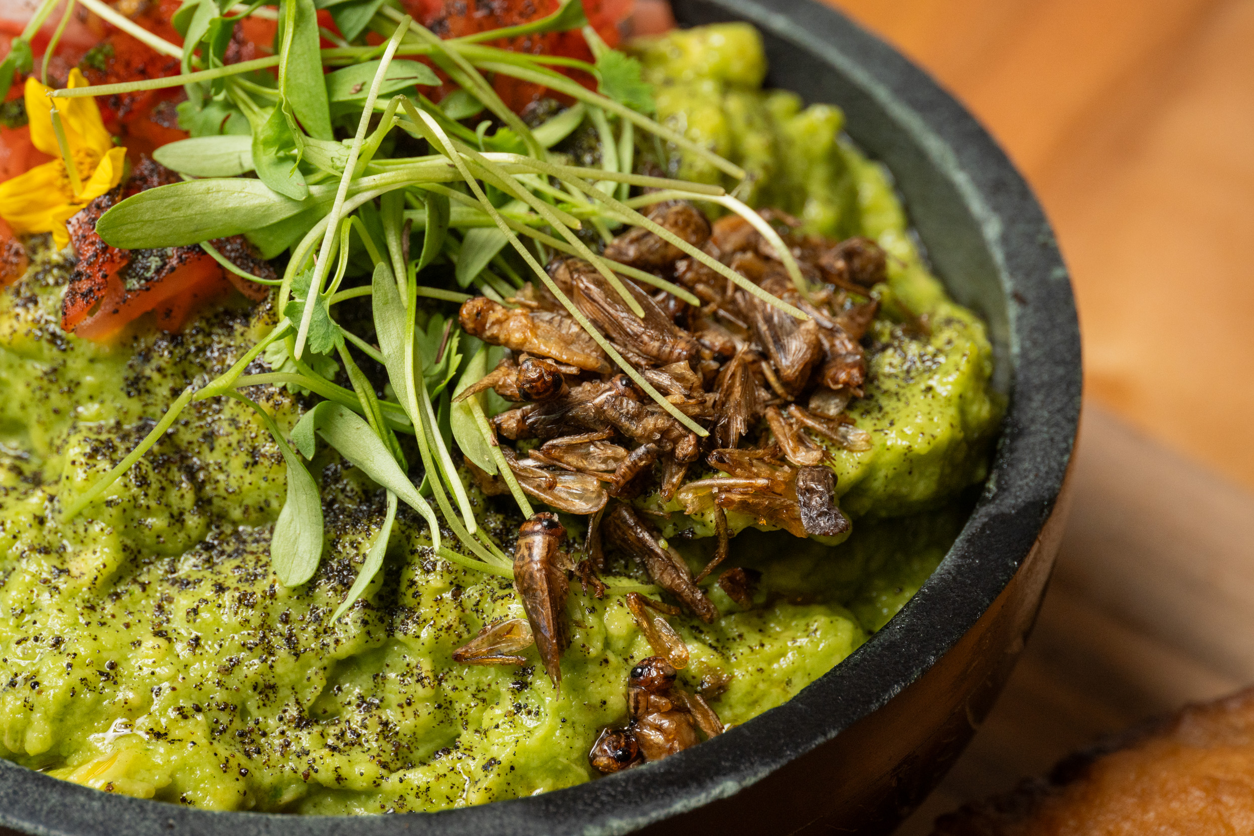 From chocolate-covered crickets to guacamole with grasshoppers, here’s why these Silicon Valley businesses are embracing bugs as food